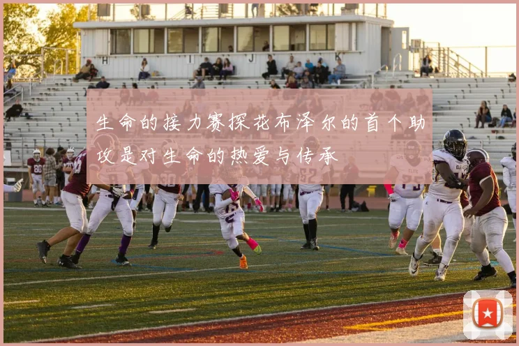 生命的接力赛探花布泽尔的首个助攻是对生命的热爱与传承